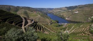 Blend-All-About-Wine-Foz-Torto-Quinta-2