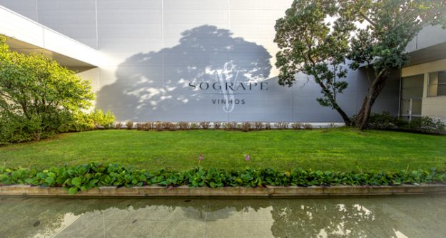 Sogrape judged the world’s best wine producer