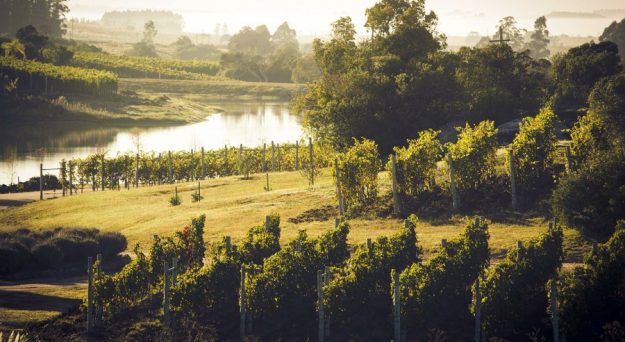 B88169103Z.1_20160729180554_000GGLOSSHS.3-0_r900x493